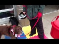 Dog gives to Salvation Army