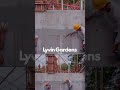 Lyvin Gardens - Обзор строительства комплекса | Бали Апрель 2025