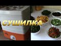 Самый Надежный способ ЗАГОТОВКИ на Зиму. Отличная СУШИЛКА для Урожая.