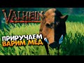 Valheim прохождение на русском #6 / Вальхейм приручение кабанов и мед гайд