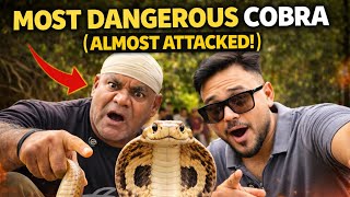 देखे पहली बार इतना खतरनाक कोबरा लोगों के बीच 😱 Monocled cobra almost attacked live camera पर