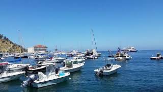 Catalina Avalon Memorial & Flags