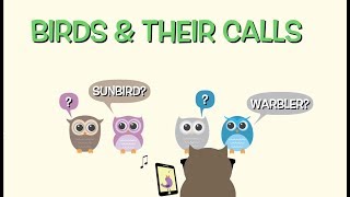 Early Bird Flashcards Game 3: Birds & Their Calls
