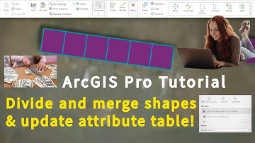How to use the Divide tool in ArcGIS Pro | Splitting buildings and editing attributes