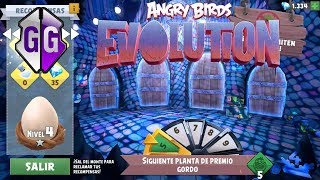 Monte Aguila Speed Bug Angry Birds Evolution