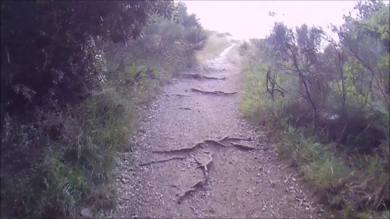 CONERO MTB:  SU E GIU' DAI SENTIERI DEL CONERO