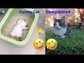 Tiktok | Funniest Animal Videos | Best Compilations
