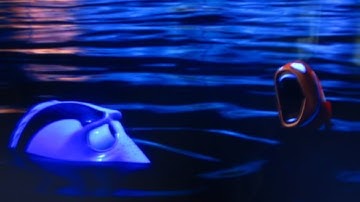 Random memes I permanently borrowed PT.1145