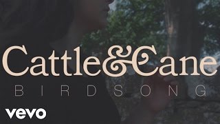 Miniatura de vídeo de "Cattle & Cane - Birdsong"