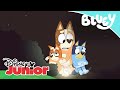 Bluey: Compilado: un día con Bluey y su familia | Disney Junior Oficial