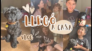 BIENVENIDO A NUESTRA FAMILIA...BENITO ❤ mini vlog