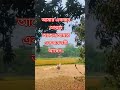 #আনিছুর_রহমান_আশরাফী #sorts #sortsfeed #vairelsort #foryou#ytshorts #minivlog #islamicshorts #waz