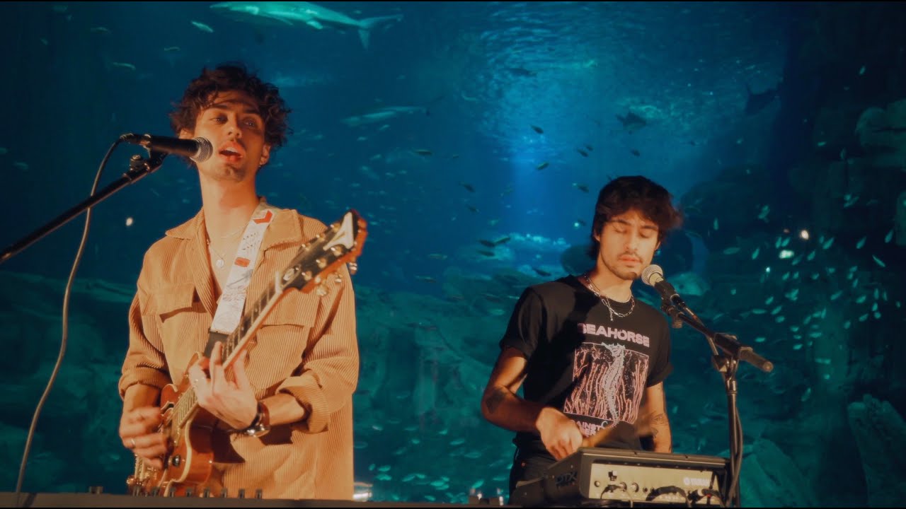 HQMD Live à l’Aquarium de Paris