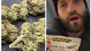 Georgia Pie - Thca Small Buds Greenhouse Hemp Flower Review