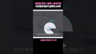 리프팅효과탄력유지기간리프팅의최강자실루엣소프트!?