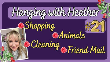 HANGING WITH HEATHER #21 Dollar Tree, ALDI, Wal-Mart, Walking the dogs AND SO MUCH MORE