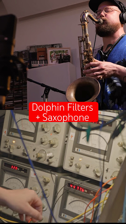 Dolphin Filters + Sax = new single