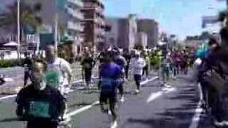 はるかのにっき 08年03月