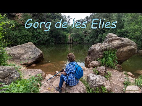 Gorg de les Elies