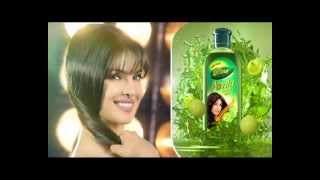 Dabur Amla Hair Oil - For Long \& Healthy Hair - Strengthen Your Hair With Real Power of Amla