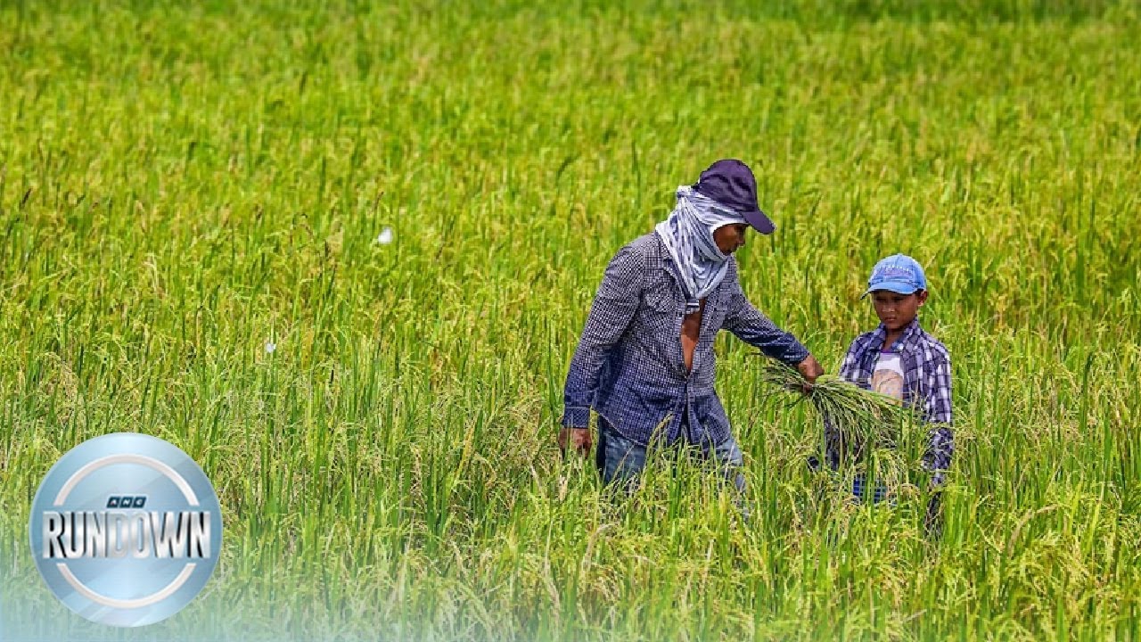 Rundown (10AM) | ANC (22 February 2023)