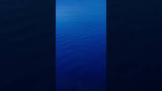 2601 1021207 mp3