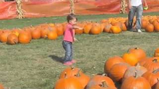 Goebbert's Pumpkin Patch