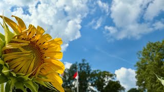 Franklinton Hometown Highlights - August 2025 