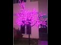 Arboles de Leds Decoración Jardines Eventos Salones