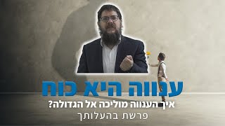 הרב שניאור אשכנזי - פרשת בהעלותך •  ענווה היא כח: איך הענווה מוליכה אל הגדולה?