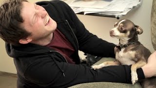 How To Pet A Dog