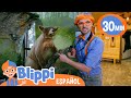 Blippi descubre nuevos animales en el centro natural 🌿 Blippi Español