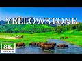 Yellowstone 8K | Geysers, Waterfalls &amp; Epic Natural Wonders