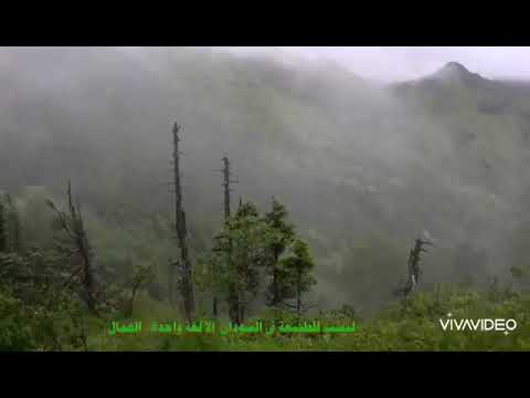 عماد احمد الطيب جنوبية