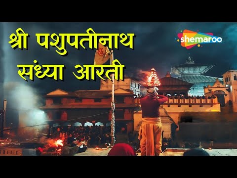 Watch on YouTube