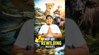 मध्य प्रदेश बना भारत का सबसे बड़ा Rewilding Model | चीते, घड़ियाल और जंगलों से बदल रहा भविष्य