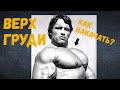 Как накачать ВЕРХ ГРУДИ + ПРОГРАММА