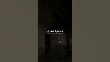 يوم يفر المرء من أخيه | سورة عبس | القارئ الشيخ محمد أحمد حسن