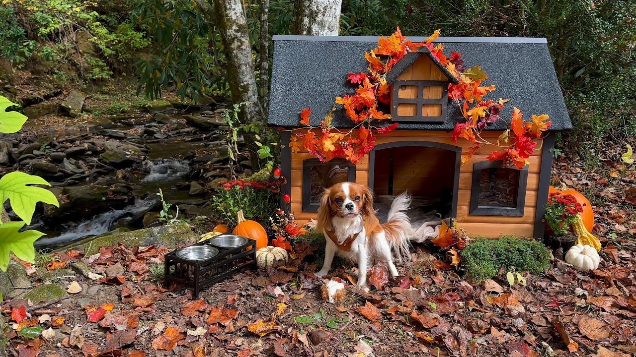 Iron Frame Wooden Dog House with Asphalt Roof & Chew-Proof Design