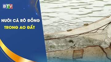 [BTV] - Nuôi cá rô đồng trong ao đất