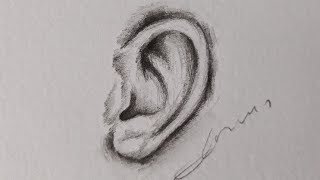 Kulak nasıl çizilir | How to draw ear
