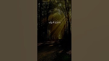 سورة الأحزاب { ٤٥ ــ ٤٨ } #ياسر_الدوسري انشر تؤجر #القرآن_الكريم