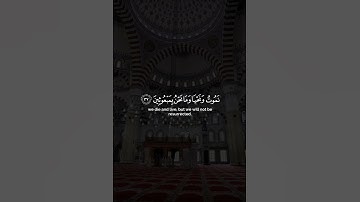 من سورة المؤمنون للشيخ ياسر الدوسري