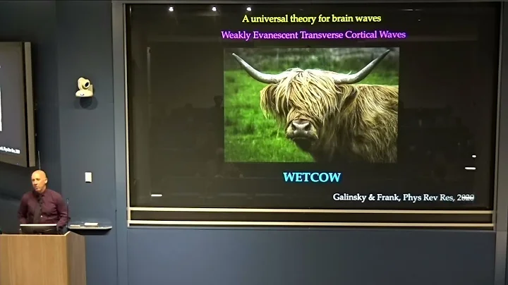 Lawrence Frank - Brain Storm: Decoding Complex Sys...