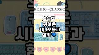 오늘도 귀여운 시나모롤과 함께💙 #시나모롤 #귀여운가전 #키보드