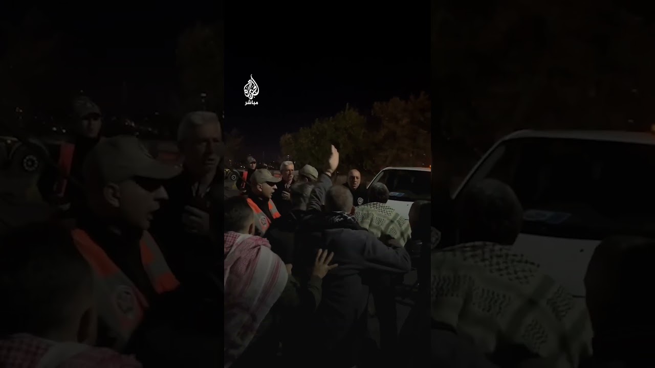 أمن ميناء أمبرلي التركي يعتدي على مناهضين للاحتلال خلال تظاهرهم ضد استقبال سفينة في طريقها لإسرائيل