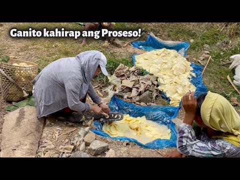 Video: Ang mga Hmong ba ay katutubo?