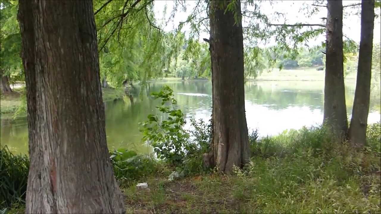 TZ40 review - 1080p60 handheld