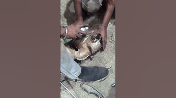 Scorpio DPF & Check Engine Light Fix 🔧 | Power Wapas La Diya!