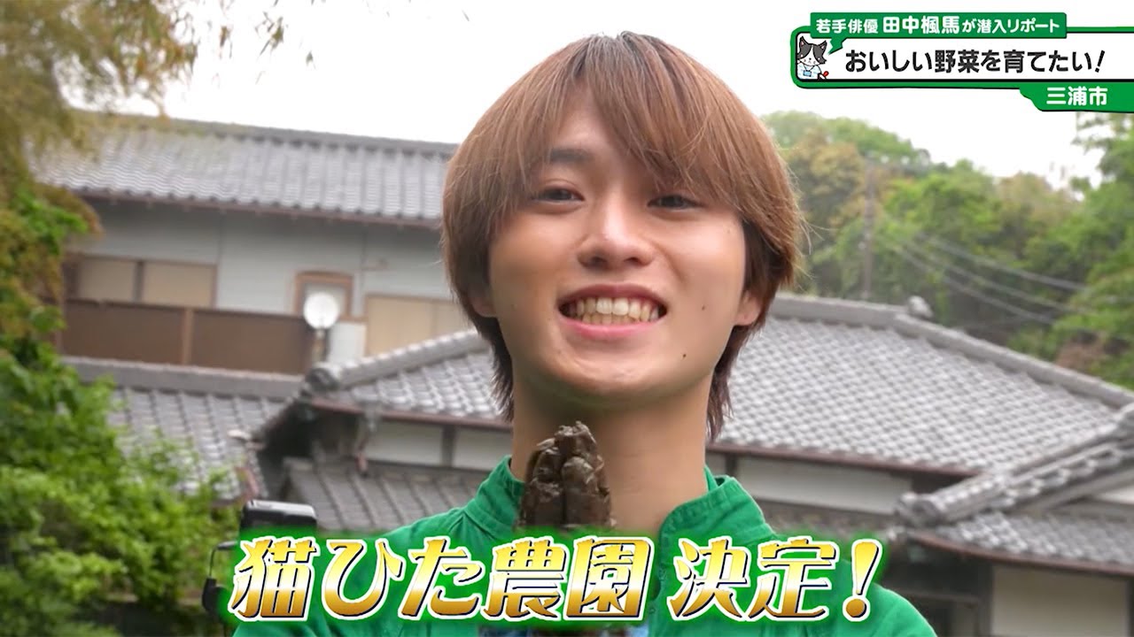 田中楓馬 猫のひたいほどワイド 猫ひた ラッフルくじ 木曜 猫のひたいほどワイド #1403 リポート大賞・田中楓馬「おいしい